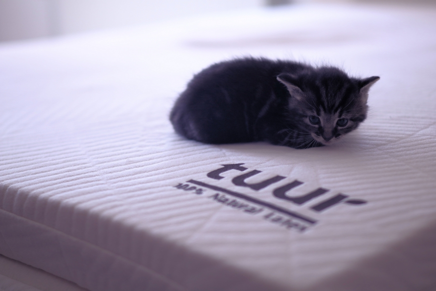 tuur original topper